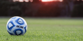 Soccer Ball on a field